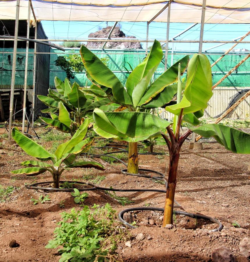 Finca Berolo 1 吉亚德索拉 外观 照片